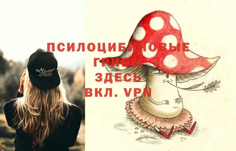 маркетплейс клад  где продают   Киржач  Псилоцибиновые грибы Cubensis 